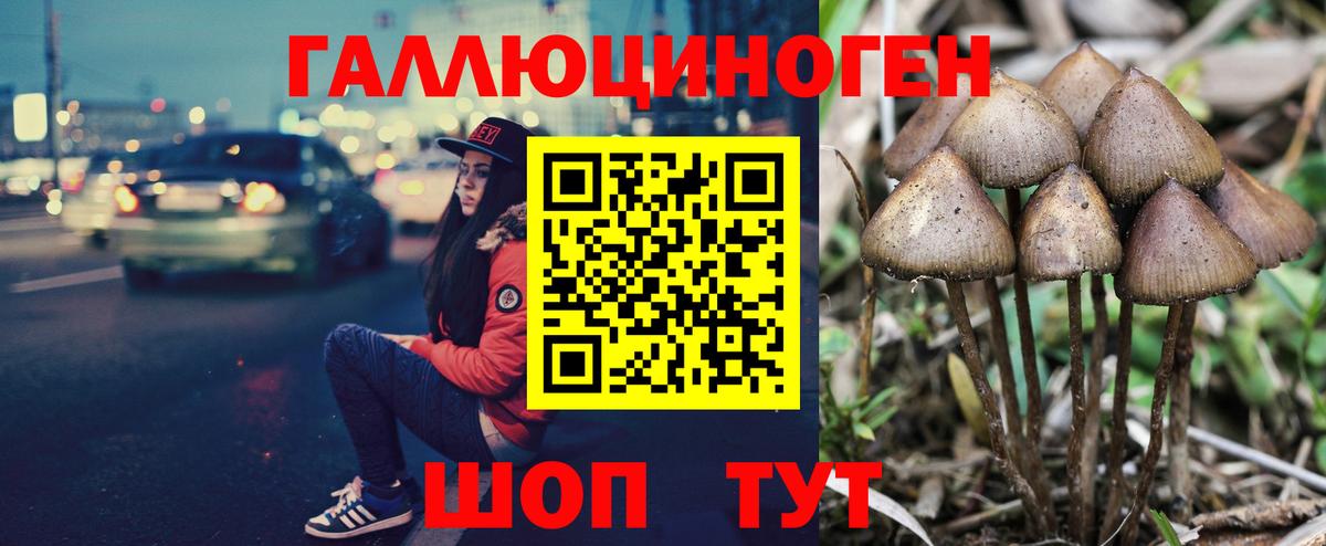 что такое наркотик  Вход с VPN  Верхняя Салда  Галлюциногенные грибы MAGIC MUSHROOMS 