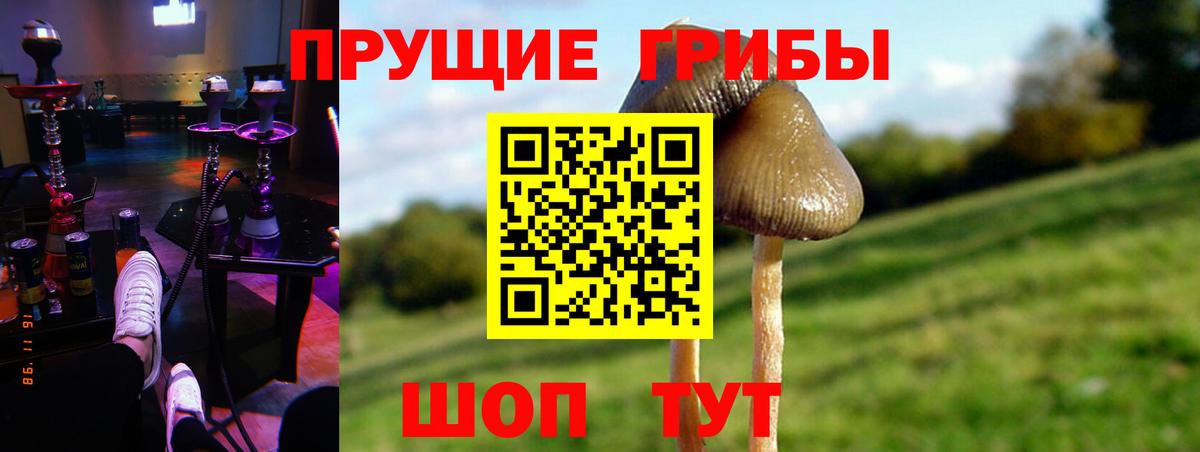 Галлюциногенные грибы Cubensis Верхняя Салда